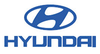 Hyundai parts and modules