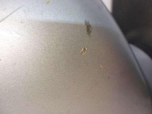 OEM FACTORY ORIGINAL GENUINE 01-06 HYUNDAI ELANTRA PASSENGER RIGHT MIRROR M389