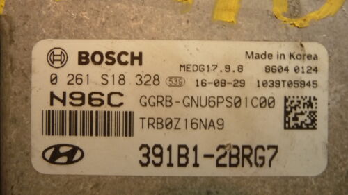 NY426-8 OEM WARRANTY 15 16 HYUNDAI ACCENT ENGINE CONTROL COMPUTER MODULE ECM ECU
